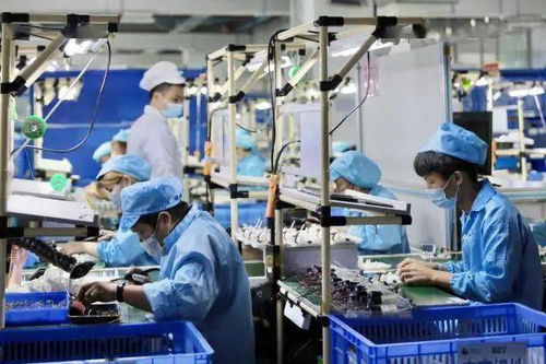 三服務(wù)三保障,火炬區(qū)支持企業(yè)快速復(fù)工復(fù)產(chǎn)