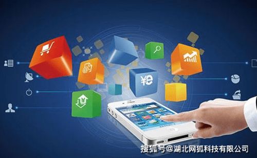 湖北網(wǎng)狐科技 電商App開(kāi)發(fā)如雨后春筍，細(xì)分行業(yè)如何搶占商機(jī)